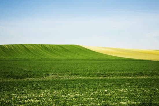 生態(tài)產(chǎn)品交易